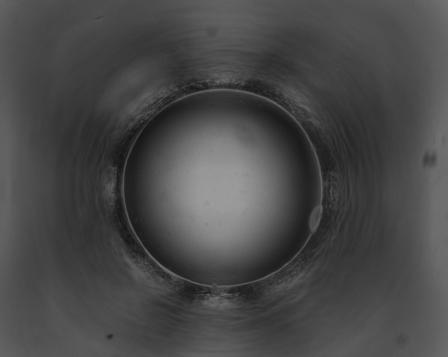 X0000091660550200708301441