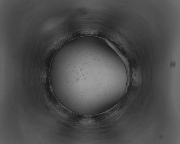 X0000091660551200708301441