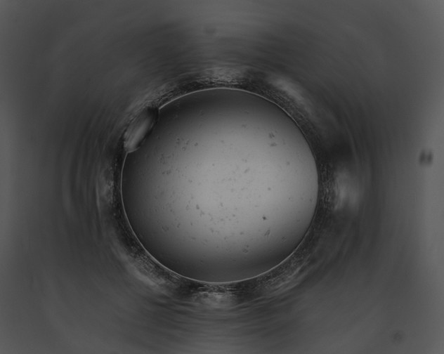 X0000091660552200708301441