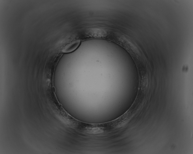 X0000091660553200708301441