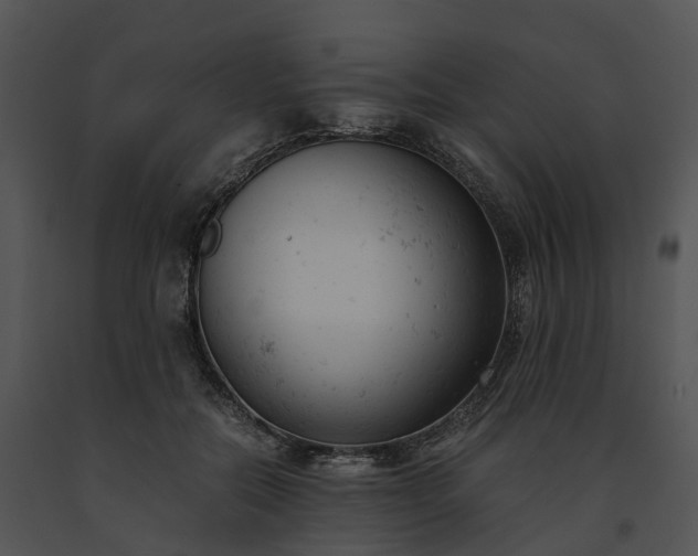 X0000091660554200708301441