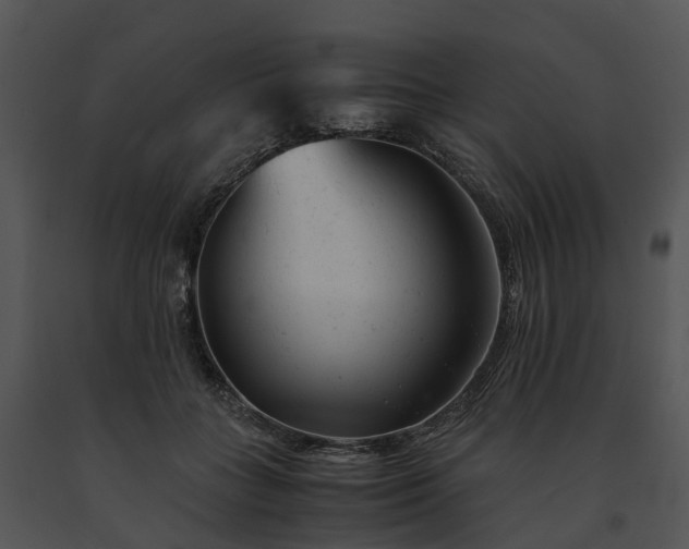 X0000091660555200708301441