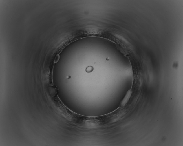 X0000091660556200708301441