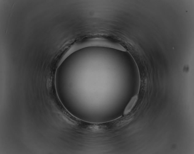 X0000091660558200708301441