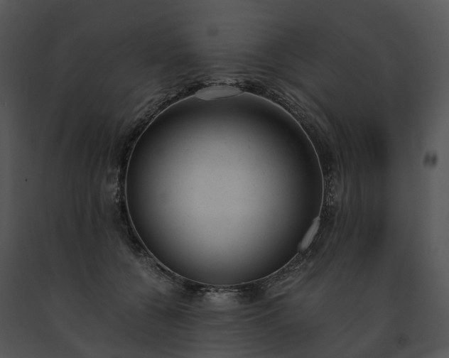 X0000091660560200708301441