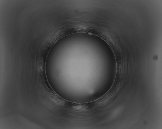 X0000091660561200708301441