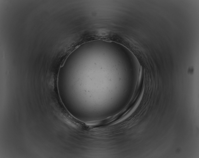 X0000091660562200708301441