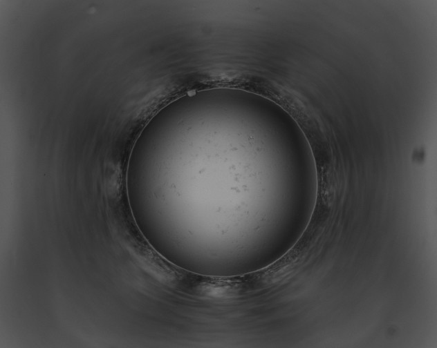 X0000091660563200708301441