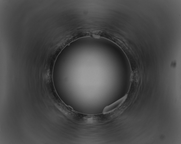 X0000091660564200708301441