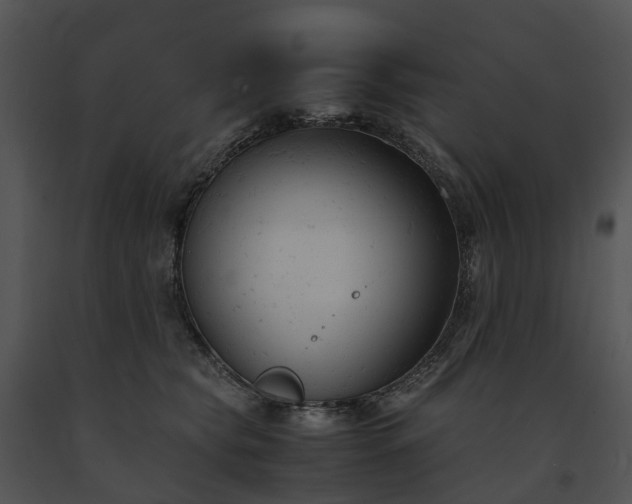 X0000091660565200708301441