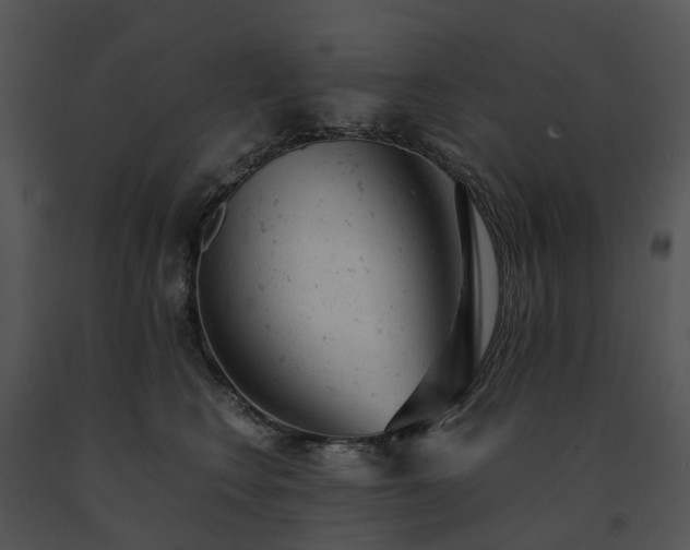 X0000091660566200708301441