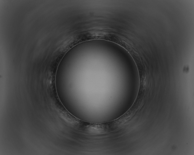 X0000091660567200708301441
