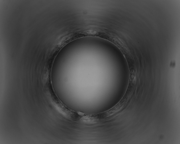 X0000091660568200708301441