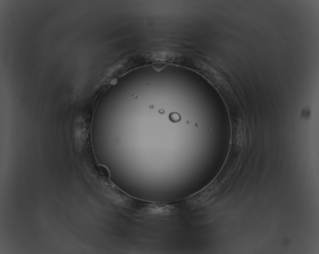 X0000091660569200708301441