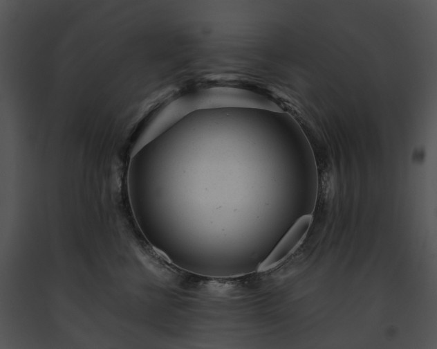 X0000091660570200708301441
