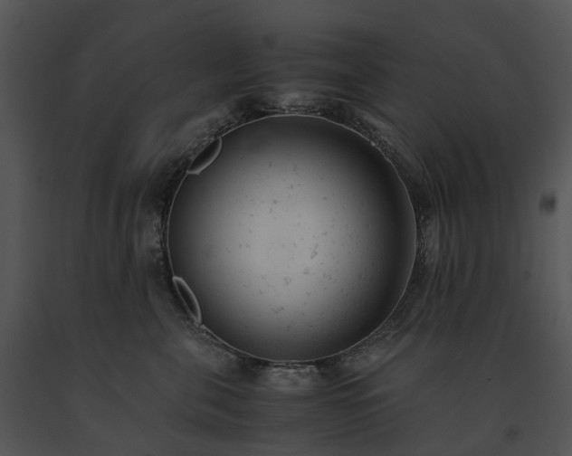 X0000091660571200708301441