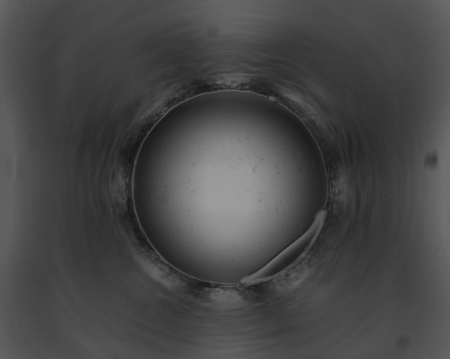 X0000091660572200708301441