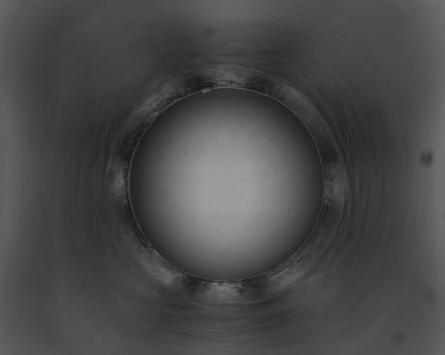 X0000091660573200708301441