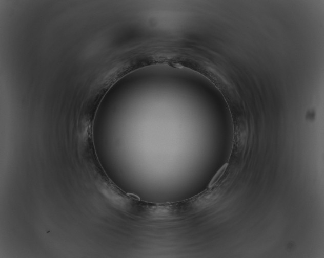 X0000091660574200708301441
