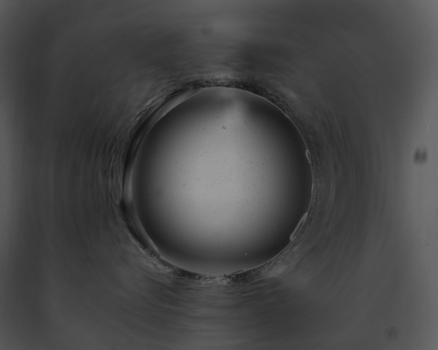 X0000091660576200708301441
