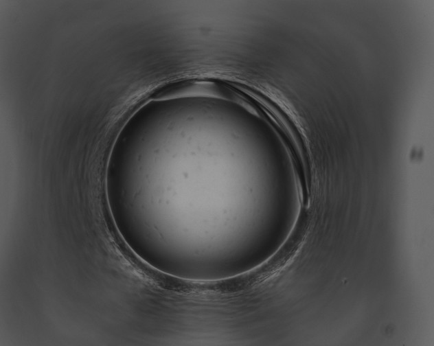 X0000091660577200708301440