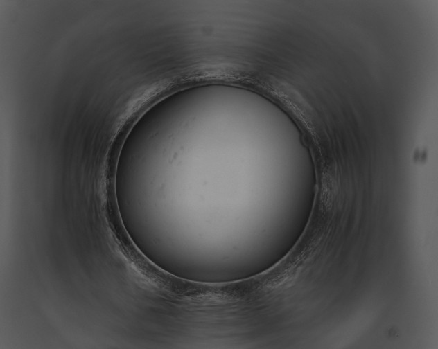 X0000091660578200708301440