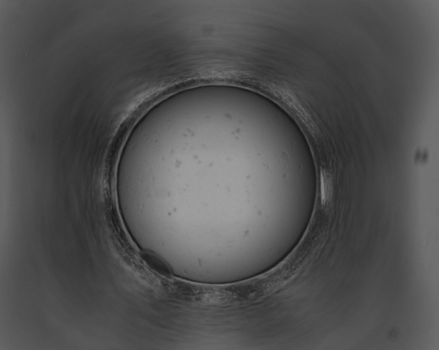 X0000091660579200708301440