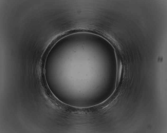 X0000091660580200708301440