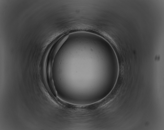 X0000091660581200708301440