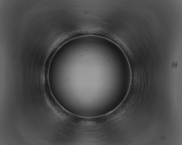 X0000091660582200708301440