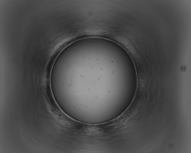 X0000091660583200708301440