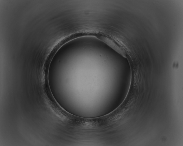 X0000091660584200708301440
