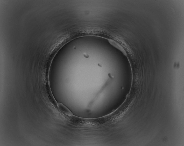X0000091660585200708301440