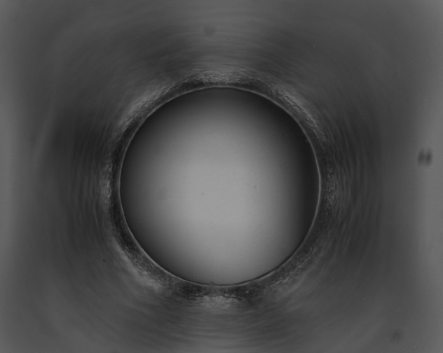 X0000091660586200708301440