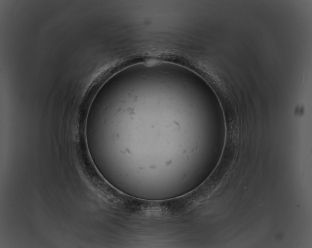 X0000091660587200708301440