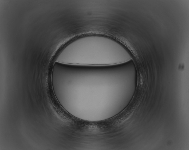 X0000091660588200708301440