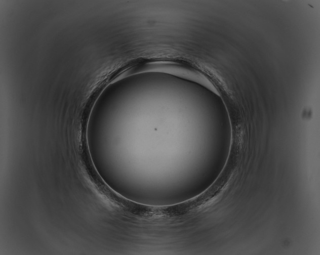 X0000091660589200708301440
