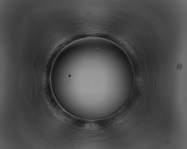 X0000091660591200708301440