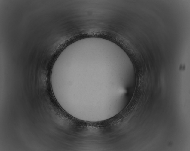 X0000091660592200708301440