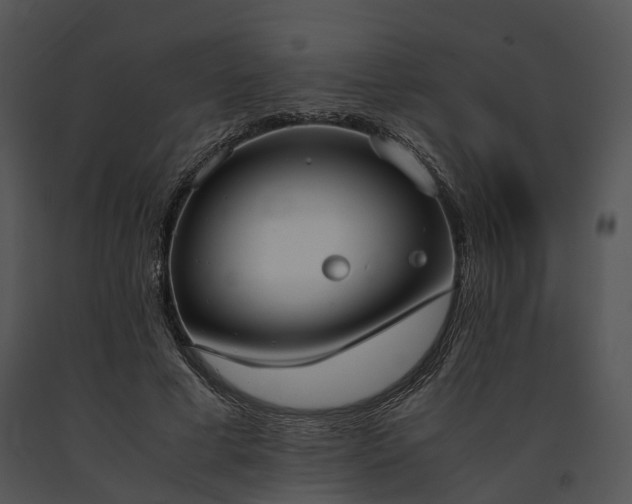X0000091660593200708301440