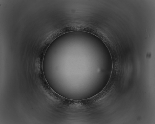 X0000091660594200708301440
