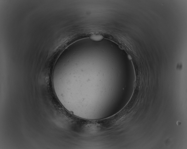 X0000091660595200708301440