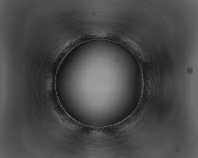 X0000091660596200708301440