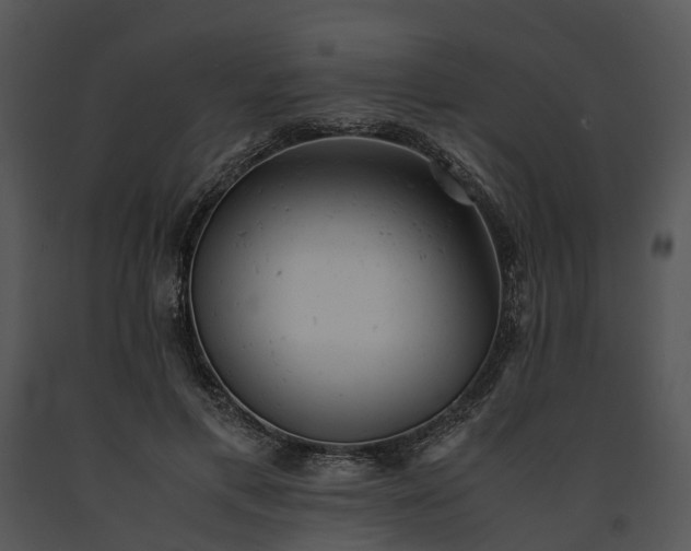 X0000091660597200708301440