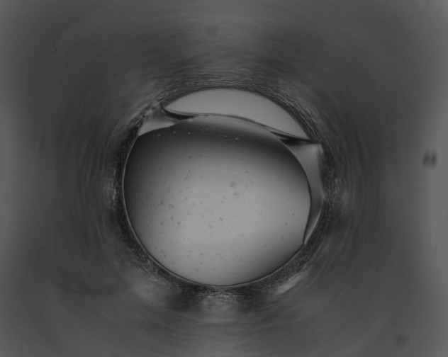 X0000091660599200708301440