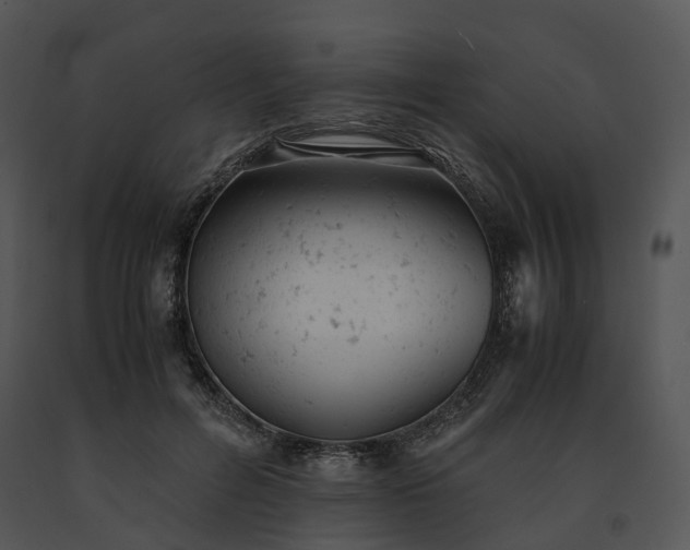 X0000091660600200708301440