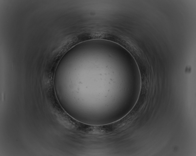 X0000091660601200708301440