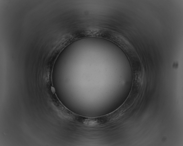 X0000091660602200708301440