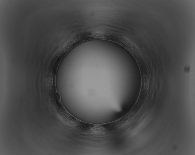 X0000091660603200708301440
