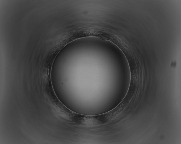 X0000091660605200708301440